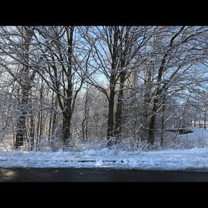 Meet your Posher, Liesl